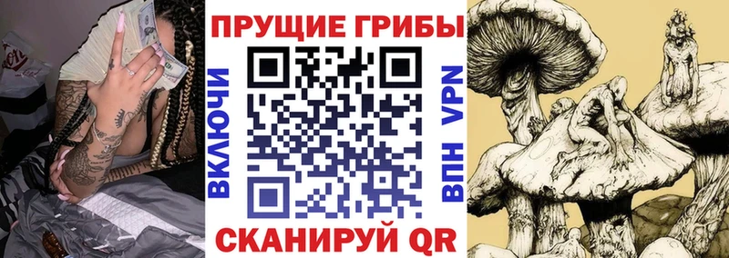 Галлюциногенные грибы MAGIC MUSHROOMS  Купить закладки  Сортавала 